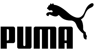 puma hiring Accounts Payable Analyst