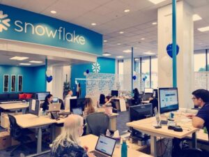 Snowflake hiring Collection Analyst