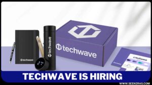 Techwave WALK IN Drive